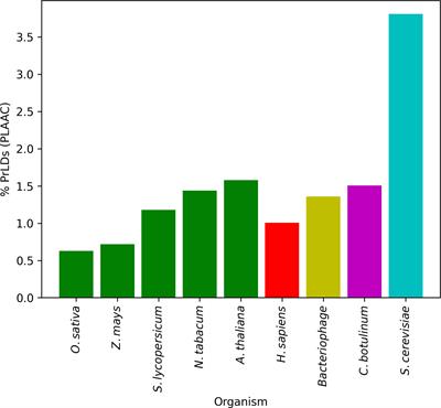 Exploring cryptic amyloidogenic regions in prion-like proteins from plants